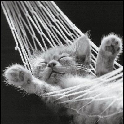 I Need A Nap!
