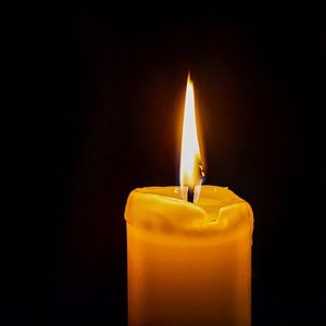 The Light in the Darkness