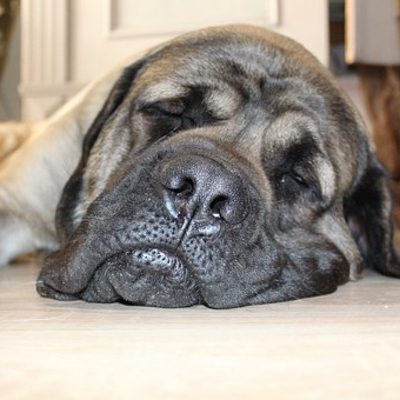 It’s Been A Long Day…